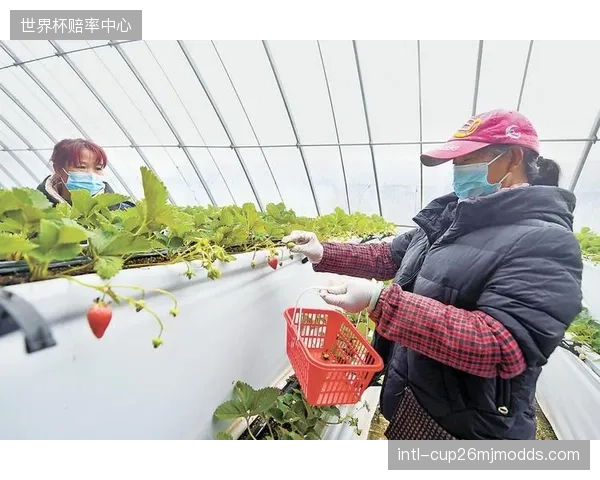监管协调机构融合深化阶段打通跨业态协作